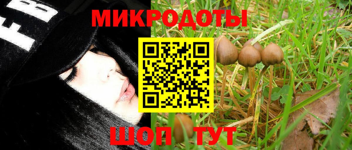 Псилоцибиновые грибы мицелий  Вход с VPN  Галлюциногенные грибы GOLDEN TEACHER  Костомукша 